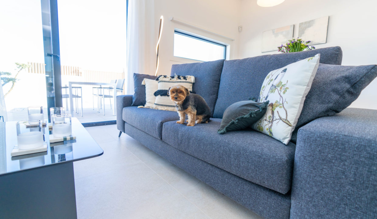 SaliSol-New-2-scaled