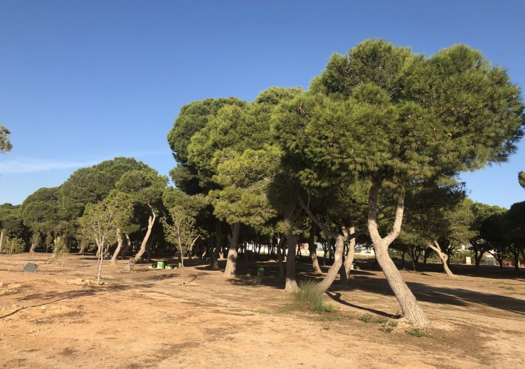 WhatsApp-Image-2023-06-29-at-9.53.10-AM