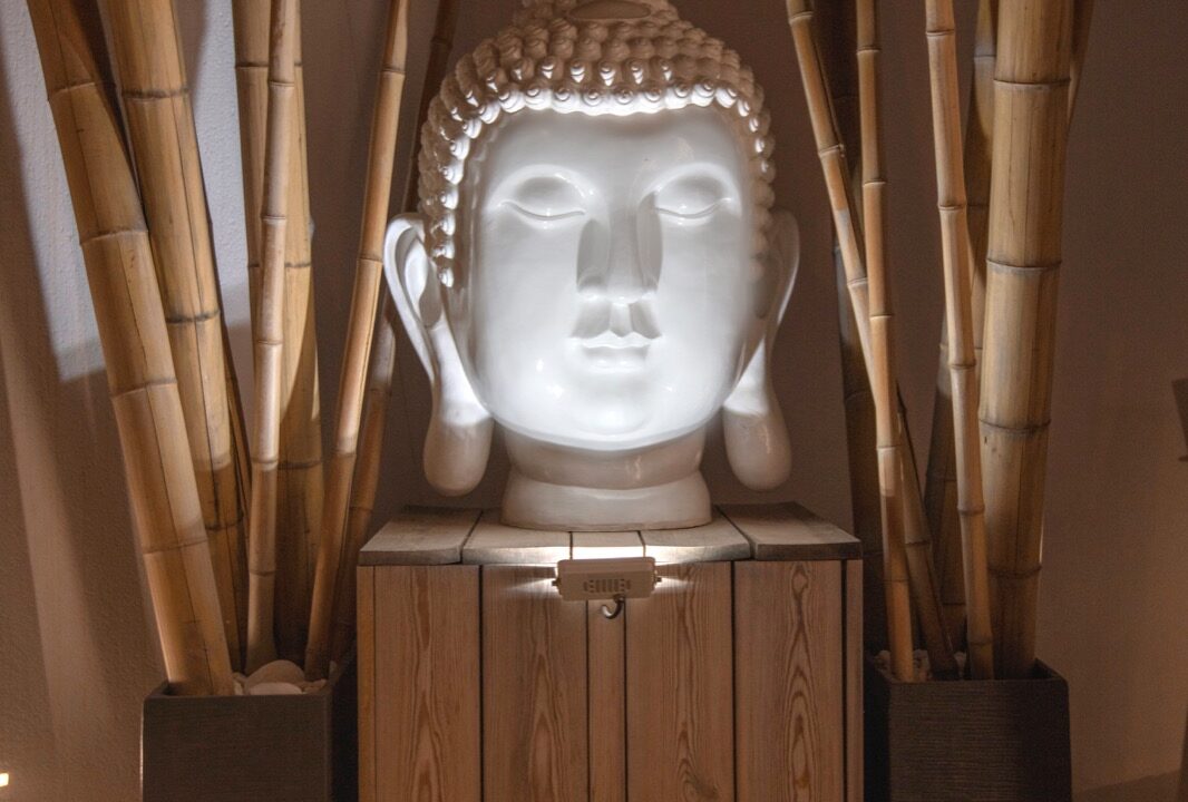 WhatsApp-Image-2023-06-29-at-9.53.19-AM