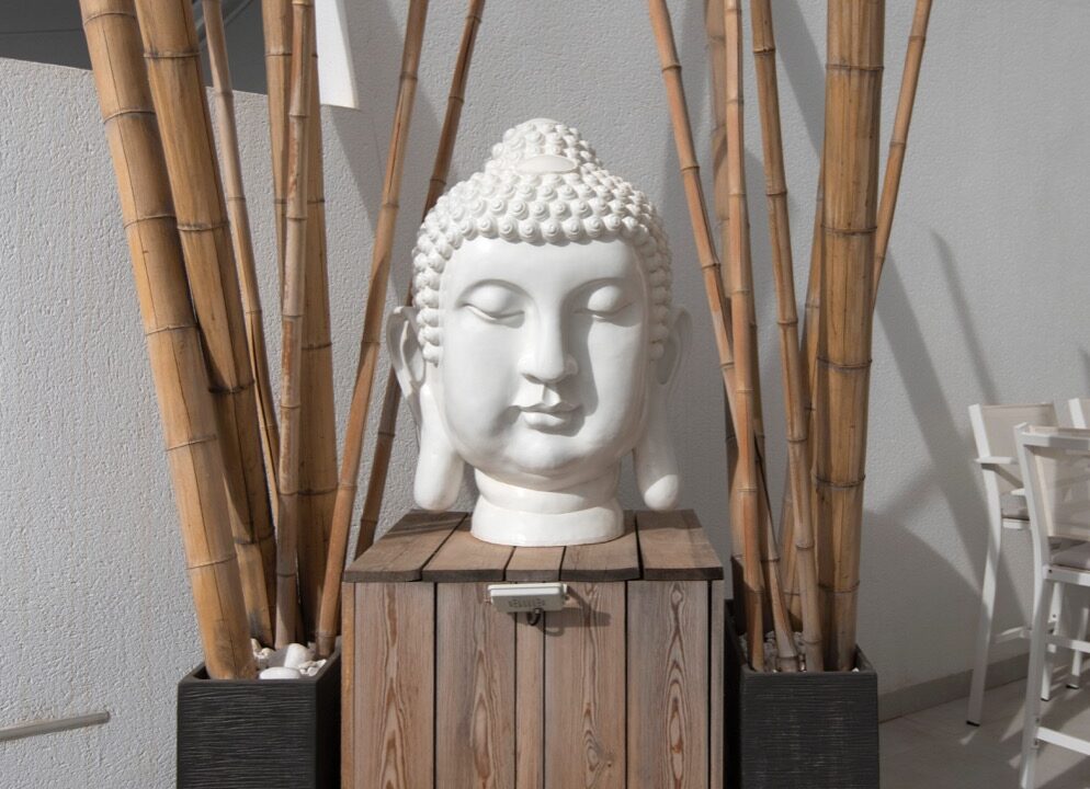 WhatsApp-Image-2023-06-29-at-9.55.43-AM-3