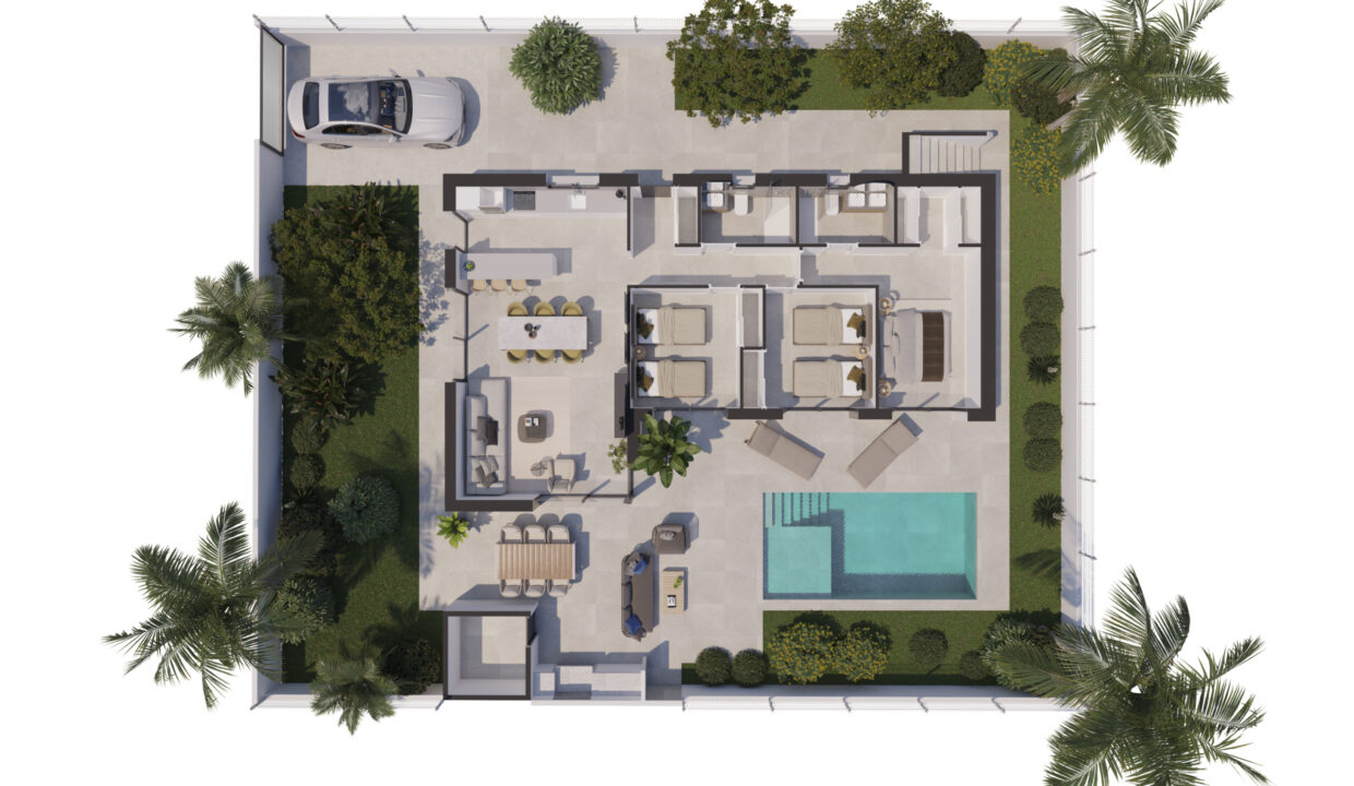 planta-scaled