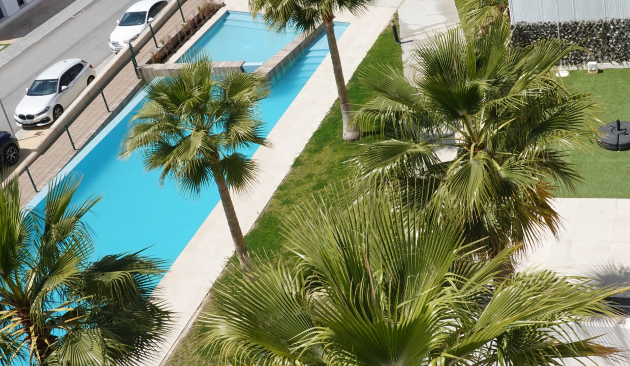 dsc00554jpg_53668774075_o-scaled