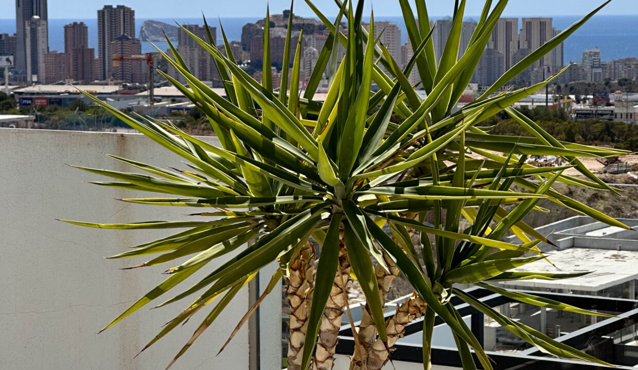 img_5716jpg_53667443317_o-scaled