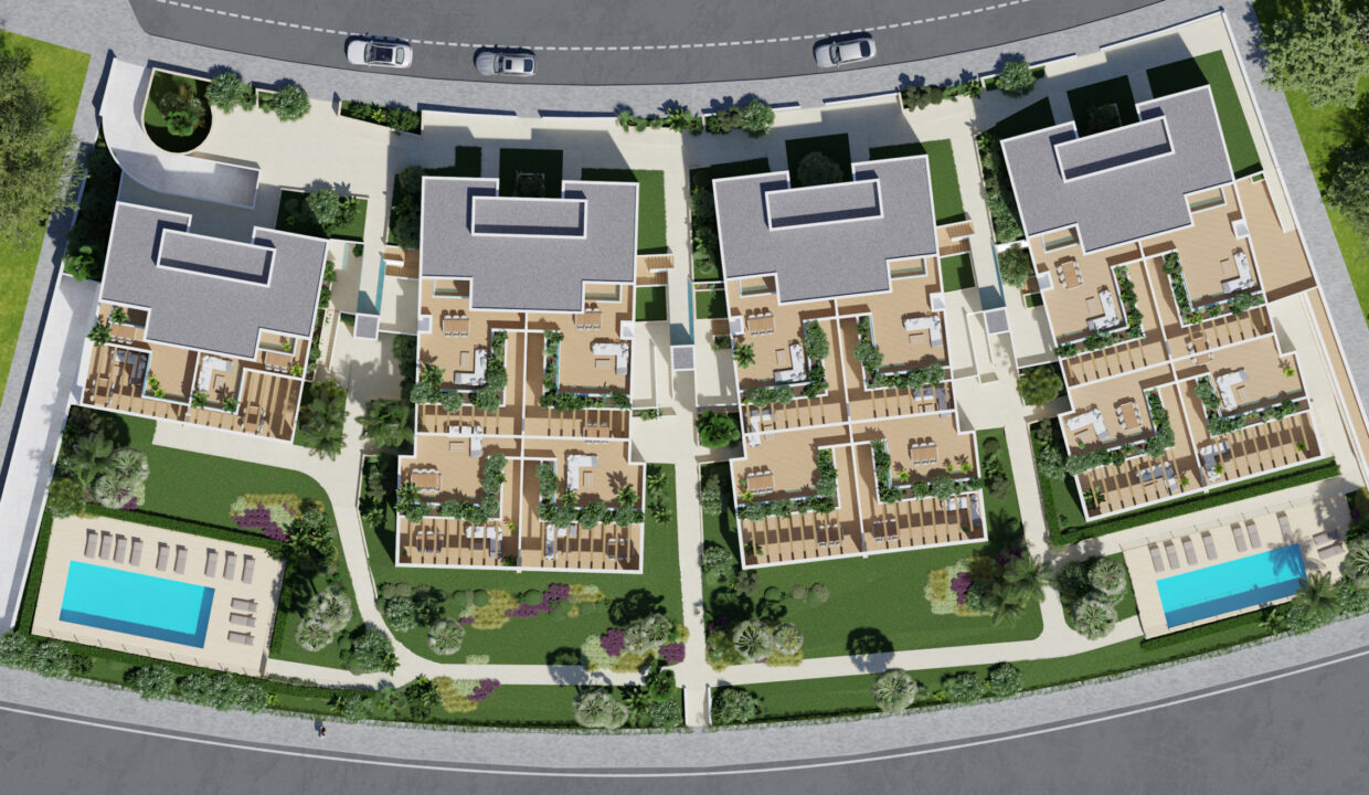 planta_01-scaled