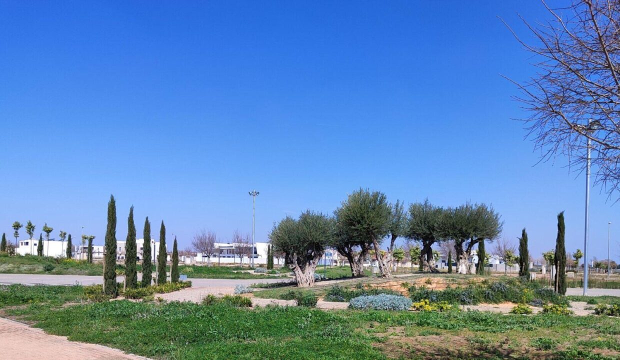 112045-Moderne-appartementen-in-Torre-Pacheco-Murcia-9
